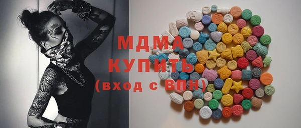индика Каменка