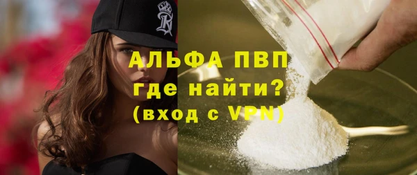 индика Каменка