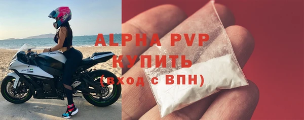 индика Каменка