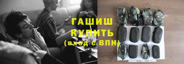 индика Каменка