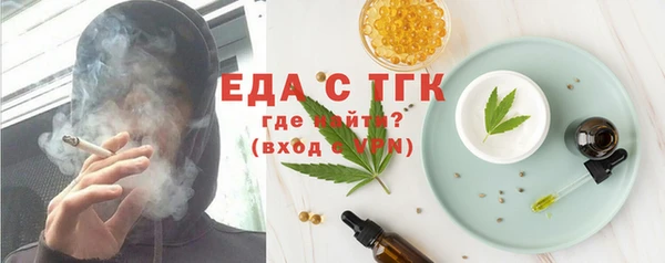индика Каменка
