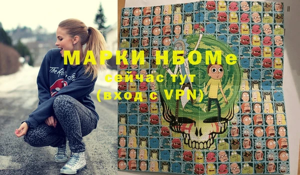 индика Каменка