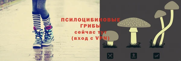 2c-b Каменск-Шахтинский