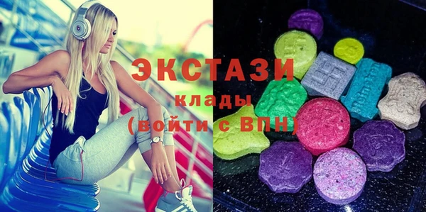 индика Каменка