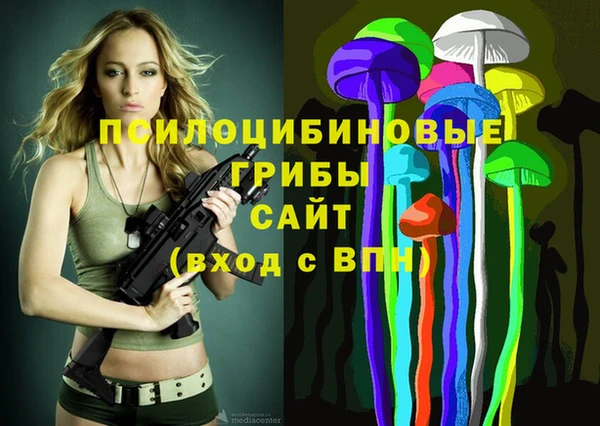 мескалин Каменногорск