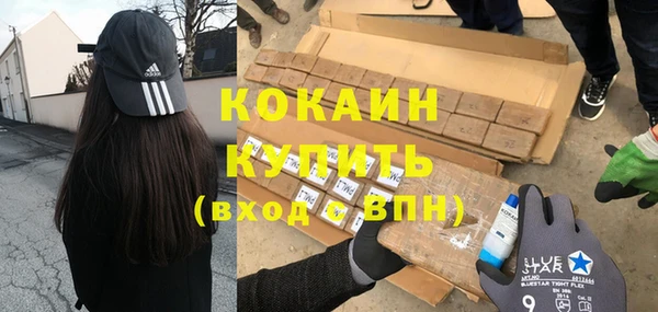 индика Каменка