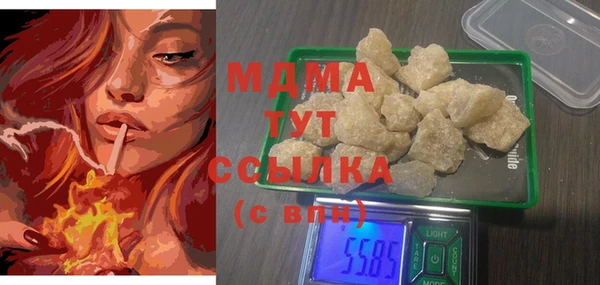 индика Каменка