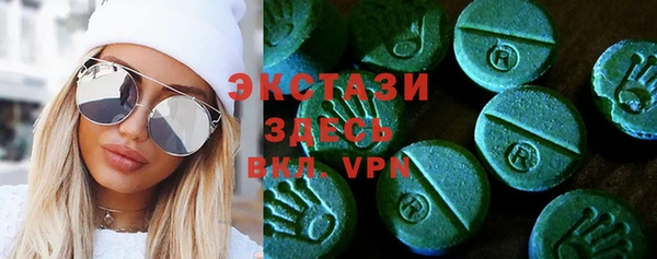 индика Каменка