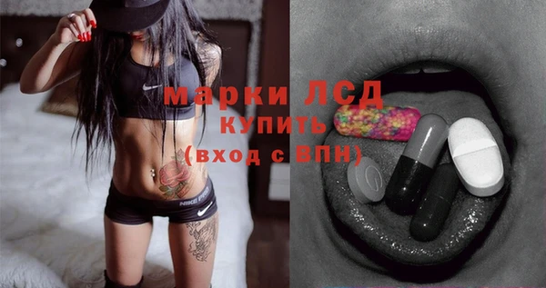 индика Каменка