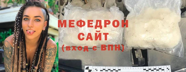 индика Каменка