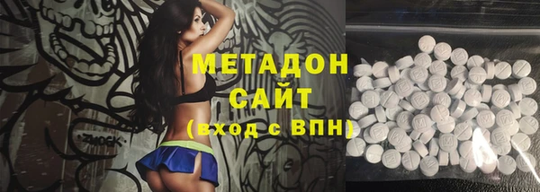 индика Каменка