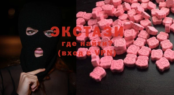 индика Каменка