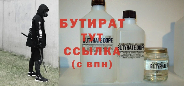 индика Каменка